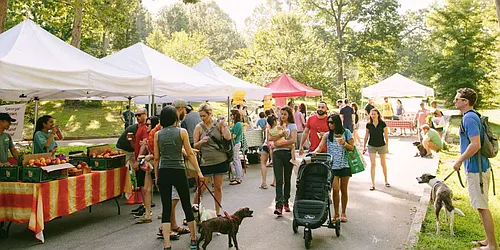 Rented by Manhattan Management LLC