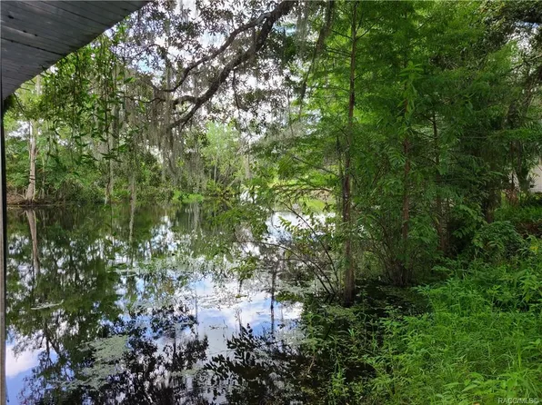 5185 S Alligator Pl, Floral City, FL 34436