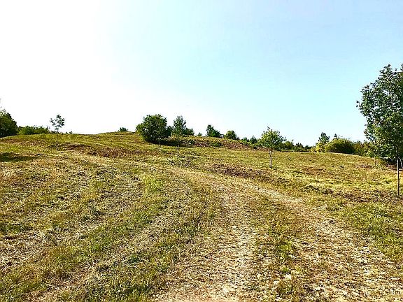 View from Lower Driveway    