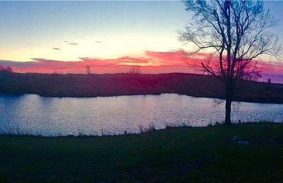 4th image of 2454 E Meadow Lake Dr