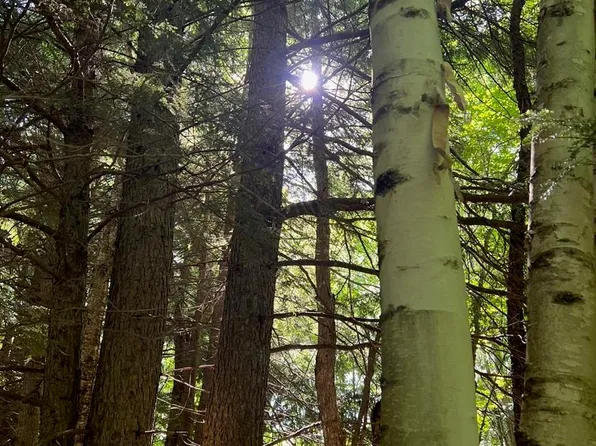 Tbdn5 Dishneau Rd, Mass City, MI 49948