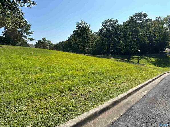 LOT 16 County Road 1027, Valley Head, AL 35989