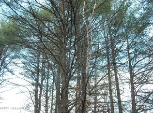 L-30 Johnson Rd, Adirondack, NY 12808