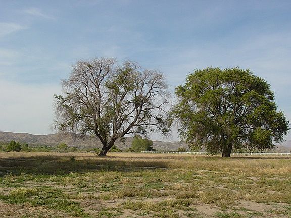 5th image of 15400 Us Highway 173