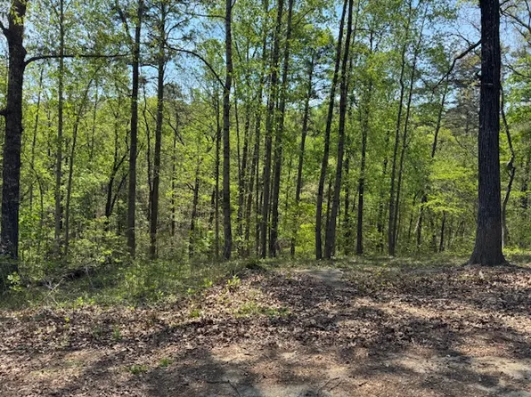 56 Cottonwood Ct, Toccoa, GA 30577