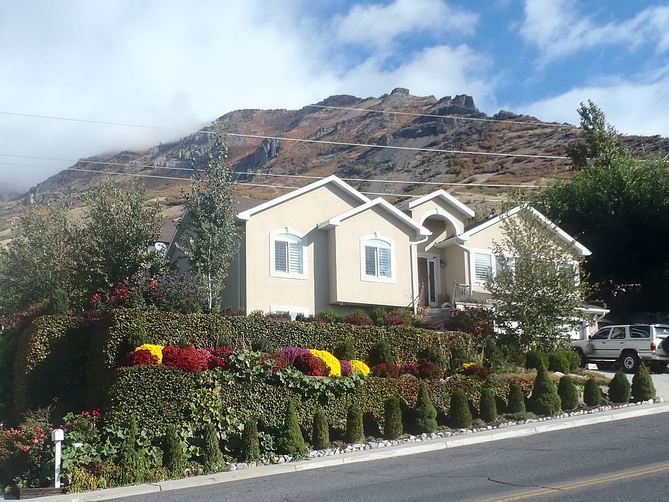 House exterior in the summer