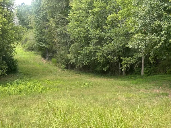 14543 Baker Rd Lot 15, Birchwood, TN 37308