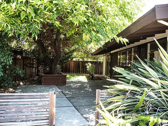 Back yard