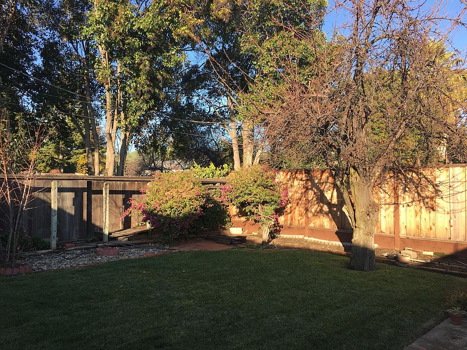 2nd image of 1143 Vuelta Olivos