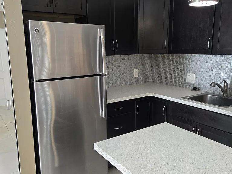 View of the Kitchen, Fridge and Kitchen Counter Space