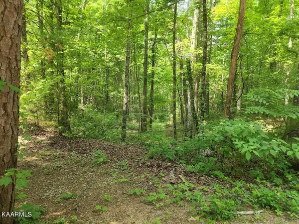 0 Oakwood Rd Lot 2, Walland, TN 37886