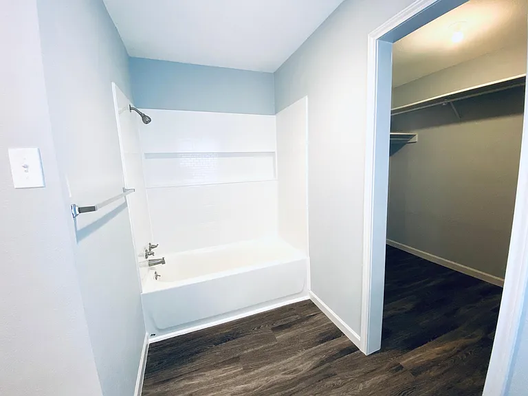 Master bathroom. Closet is to the right.