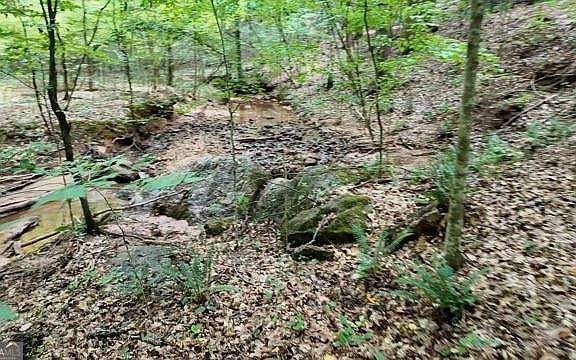 4th image of 6260 White Mill Rd