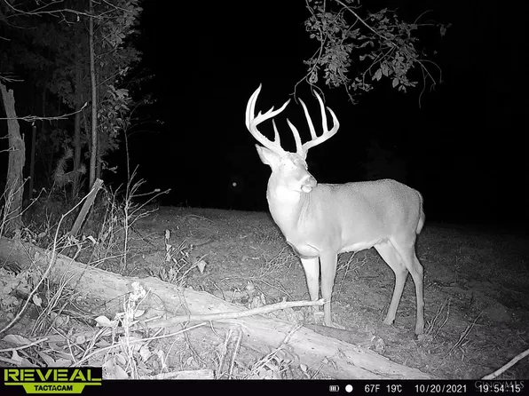 0 State Route 279, Oak Hill, OH 45656