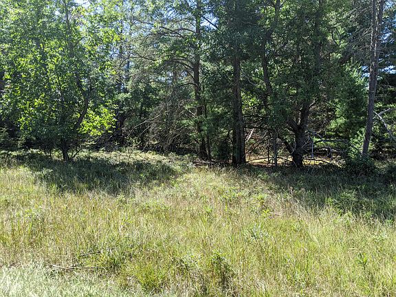 3rd image of E Higgins Lake Dr