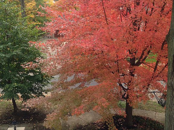 Fall