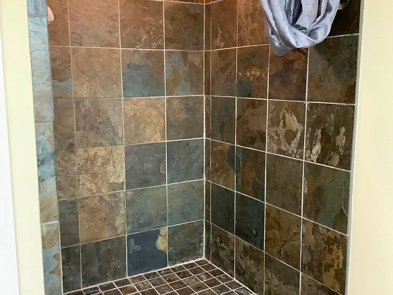 Master walk in shower
