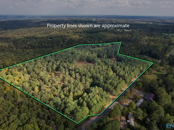 Davis Gap Rd, Vinemont, AL 35179