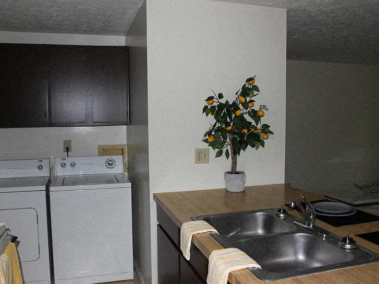 8172 Mount Snow Dr — Photo 3