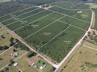 NULLH Lincoln Springs Rd, Gladewater, TX 75647