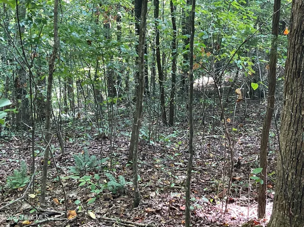 81A-82A Licklog Rd, Hayesville, NC 28904
