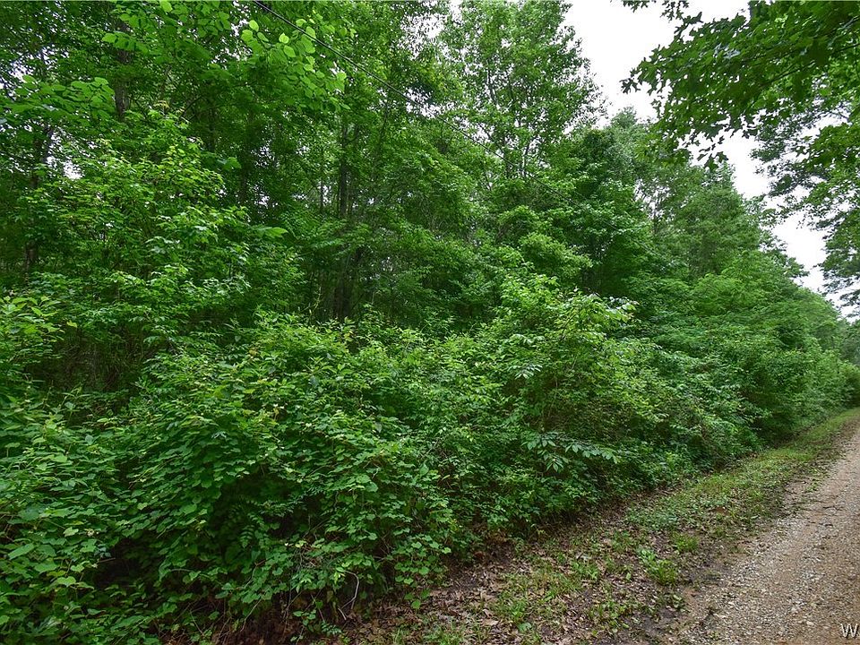 2nd image of 0 Carnation Rd