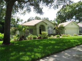 12534 River Birch Dr, Riverview, FL 33569