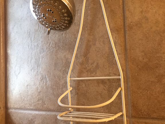 Hall bathroom showerhead 