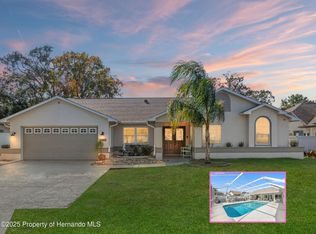 8222 Rhanbuoy Rd, Spring Hill, FL 34606