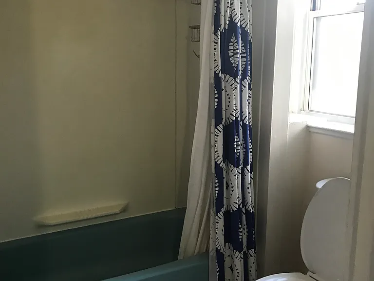 317 S Evaline St #1B — Photo 7