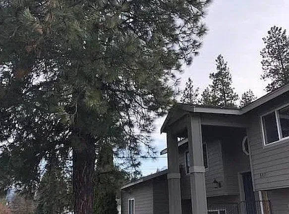 3 bed, 1450 sqft, $3,300 — Photo 4