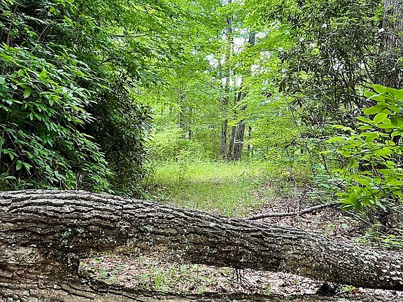 5th image of 0 Turkey Ridge Rd