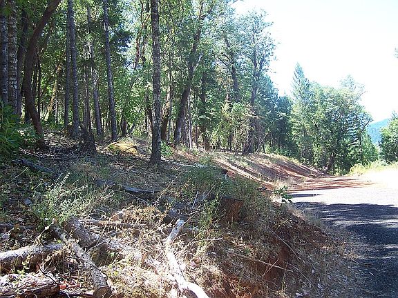 3rd image of 10529 Lower River Rd