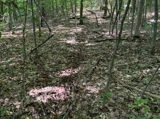 4242 N Groesbeck Ave, Hesperia, MI 49421