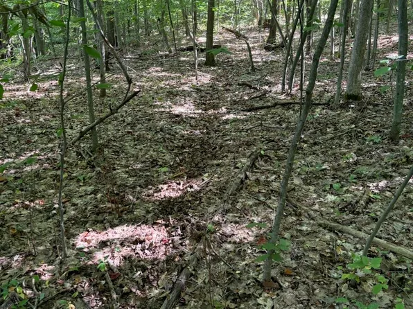 4242 N Groesbeck Ave, Hesperia, MI 49421