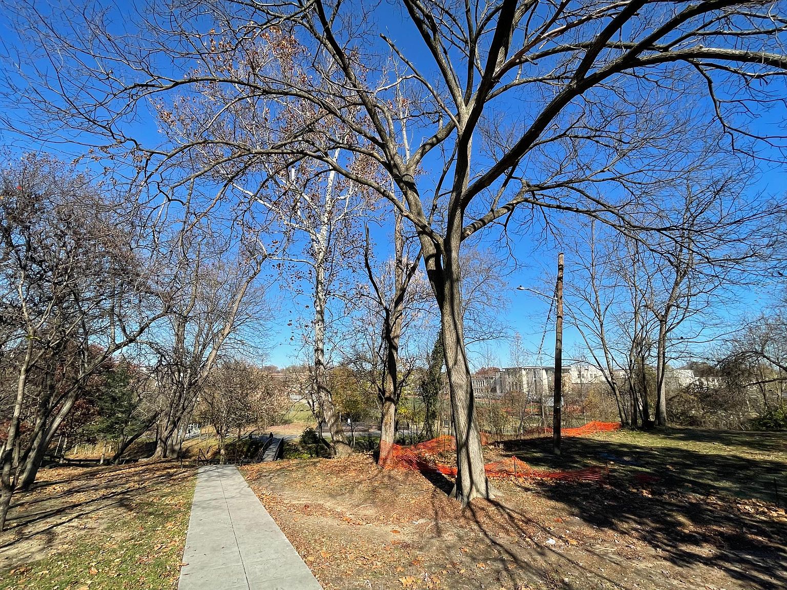 Washington, DC 20019