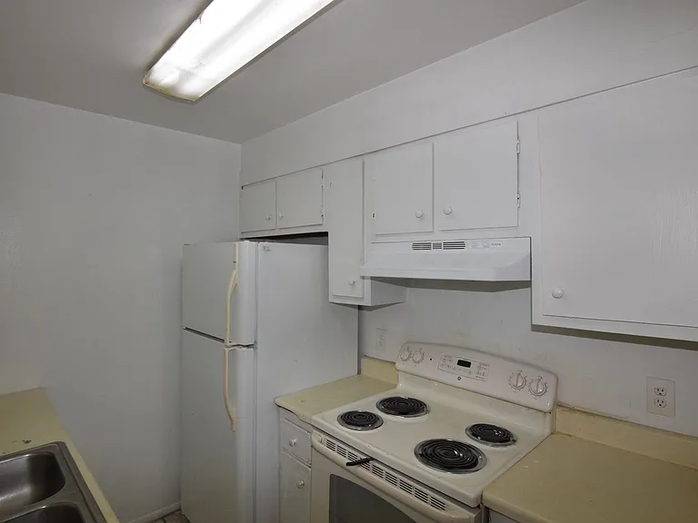 3115 Split Willow Dr — Photo 6