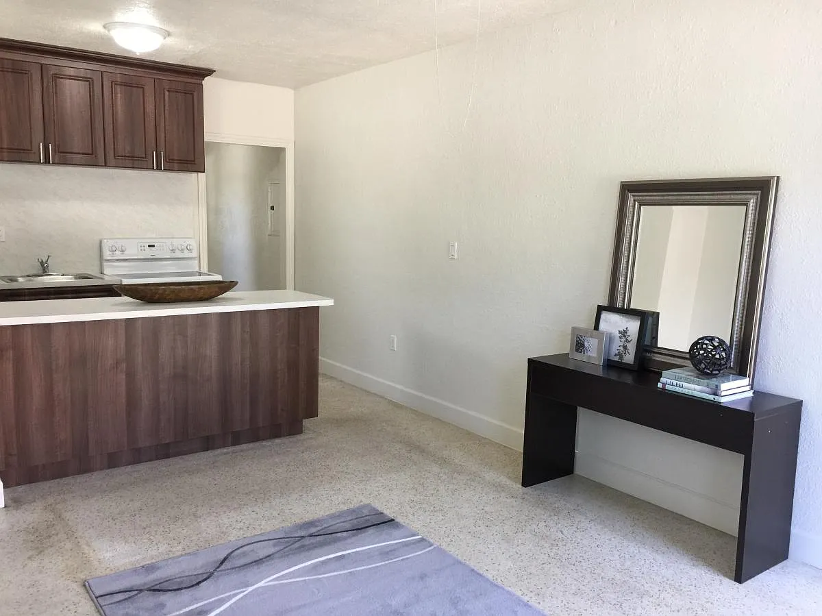 1 bed, 550 sqft, $1,500 — Photo 3