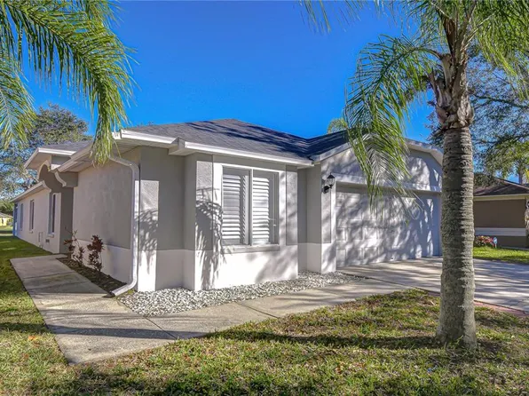 18109 Canal Pointe St, Tampa, FL 33647