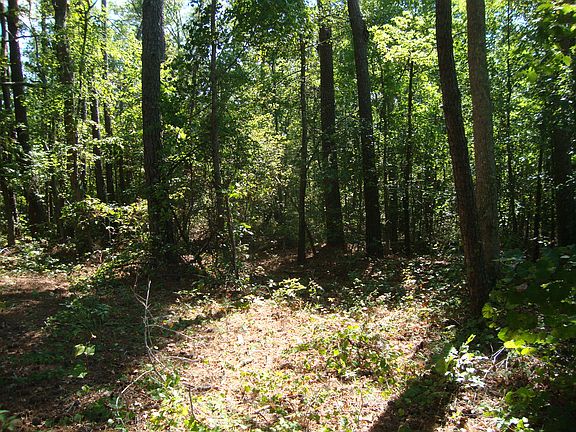 2nd image of Tbd Dowd Road LOT 3A