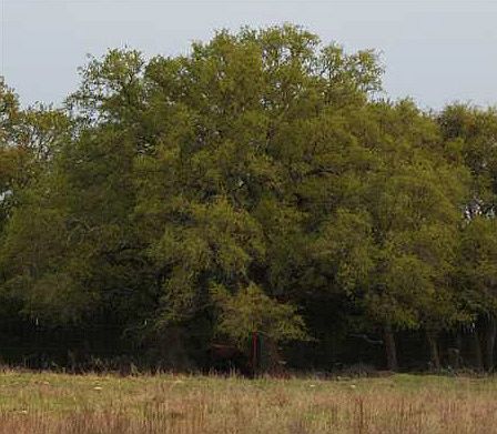 2nd image of 1149 County Road 106