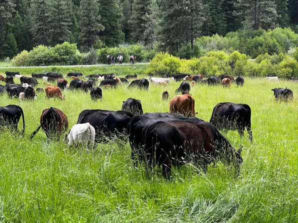 Usfs 36 Rd, Mount Vernon, OR 97865