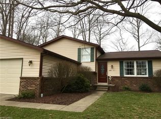 248 Timber Trl, Medina, OH