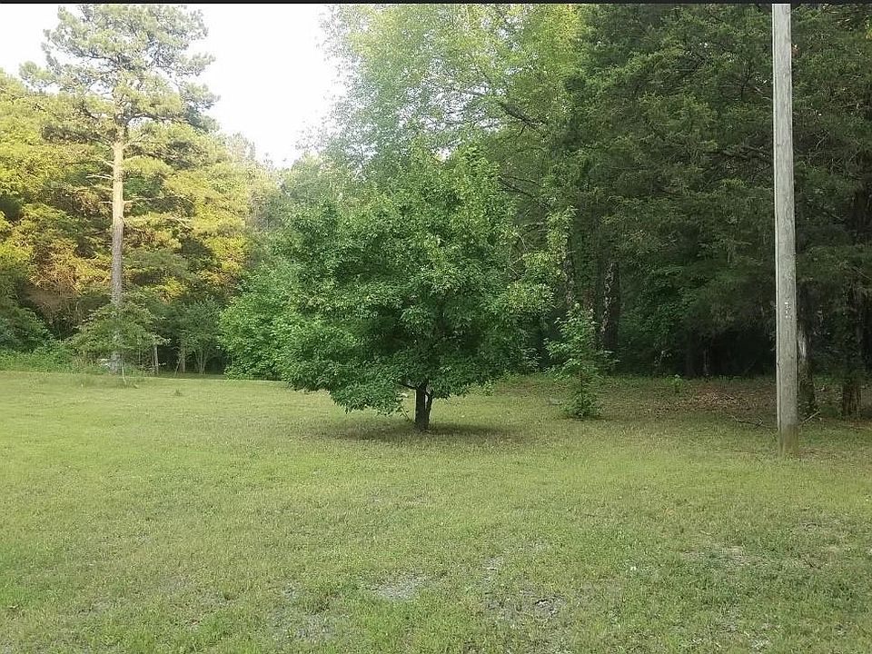 2nd image of 409 Pine Timber Ln