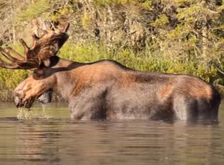 Township Road K Rd #L, Talkeetna, AK 99676