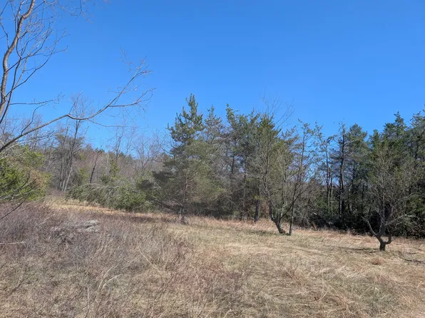 V/l 3.34 Sturgis Rd, Atlanta, MI 49709
