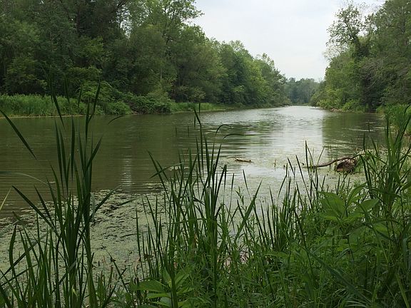 Borders Honeoye Creek