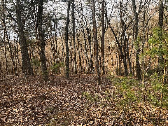 4th image of 190 Comfort Ln #44