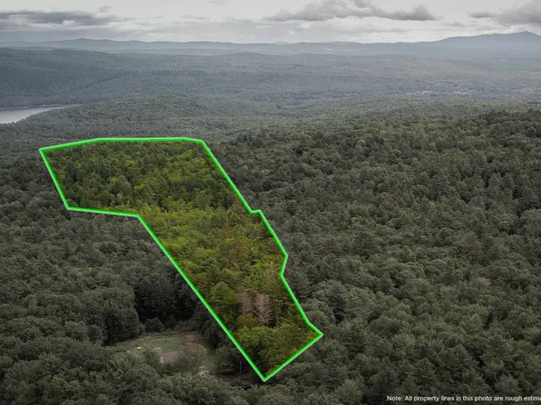 Lot 90 Mine Ledge Road, Surry, NH 03431