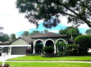 3712 Swans Landing Dr, Land O Lakes, FL 34639